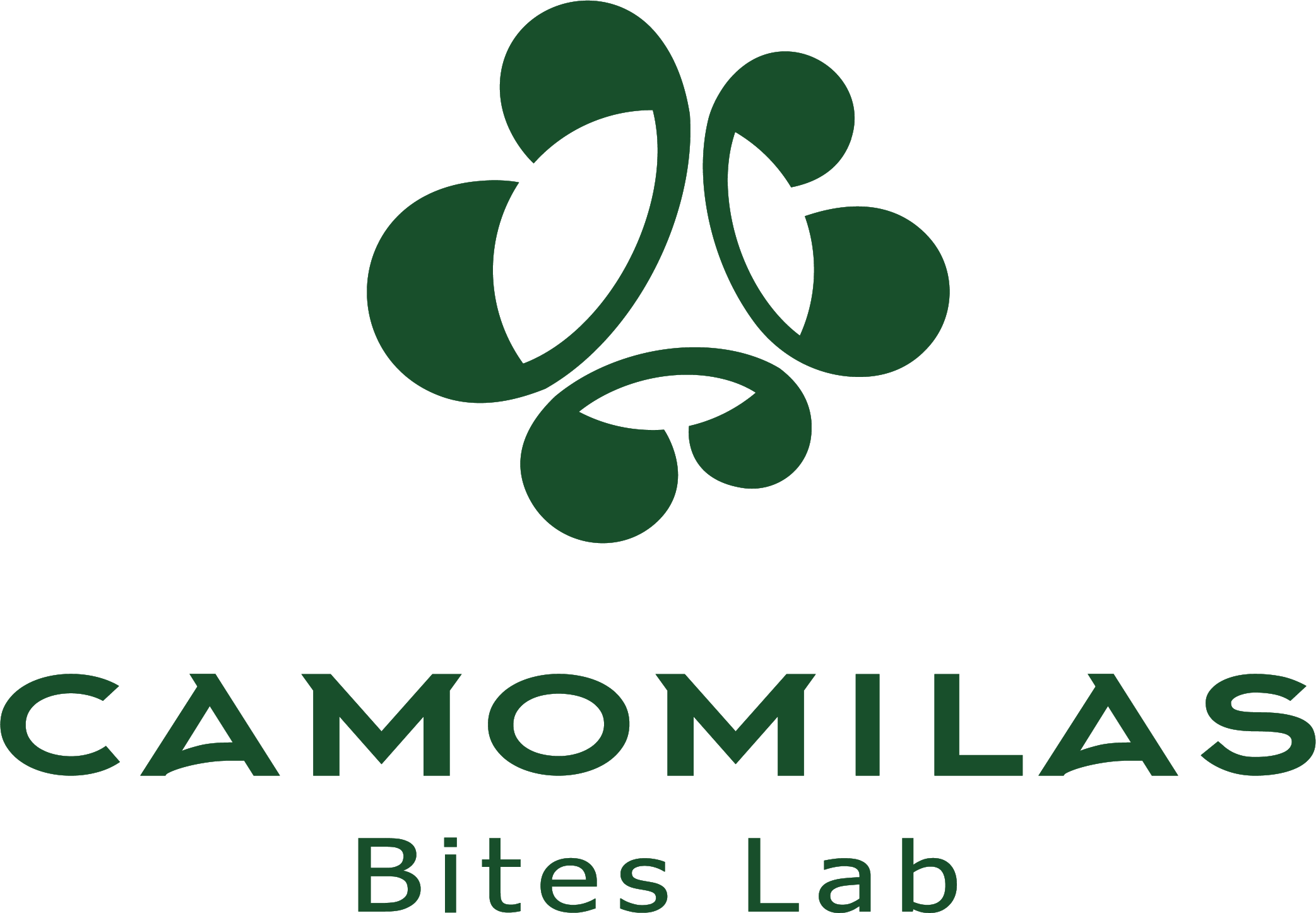 camomilas